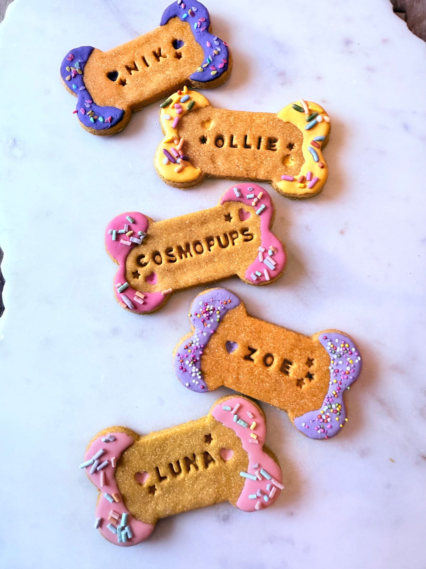 Cosmo Pup Customized Cookie